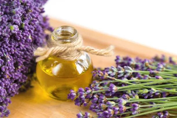 تجربتي مع تعطير المهبل.. كيف أتخلص من رائحة منطقة البكيني