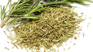 تجربتي مع عشبة المدينة للحمل