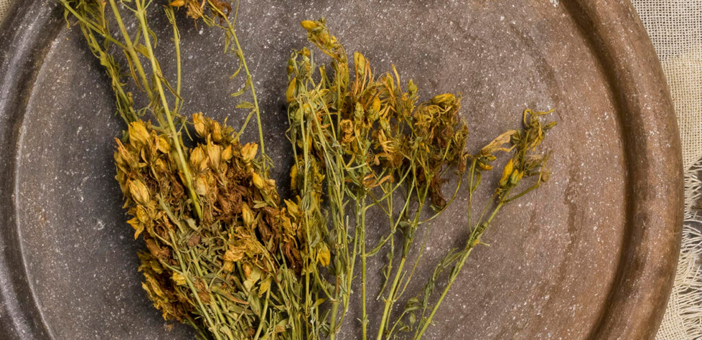 تجربتي مع عشبة ذيل الحصان لإطالة الشعر.. طريقة استخدام عشبة ذيل الحصان لنمو الشعر 2 تجربتي مع عشبة ذيل الحصان لإطالة الشعر.. طريقة استخدام عشبة ذيل الحصان لنمو الشعر