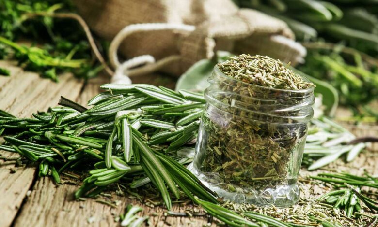 تجربتي مع عشبة ذيل الحصان لإطالة الشعر.. طريقة استخدام عشبة ذيل الحصان لنمو الشعر 1 تجربتي مع عشبة ذيل الحصان لإطالة الشعر.. طريقة استخدام عشبة ذيل الحصان لنمو الشعر