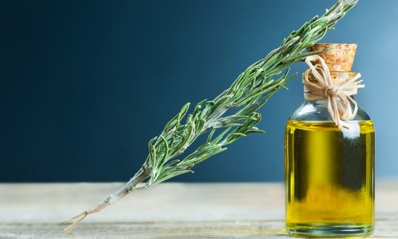 هل زيت إكليل الجبل يسبب الشيب في الشعر؟ 2 هل زيت إكليل الجبل يسبب الشيب في الشعر؟