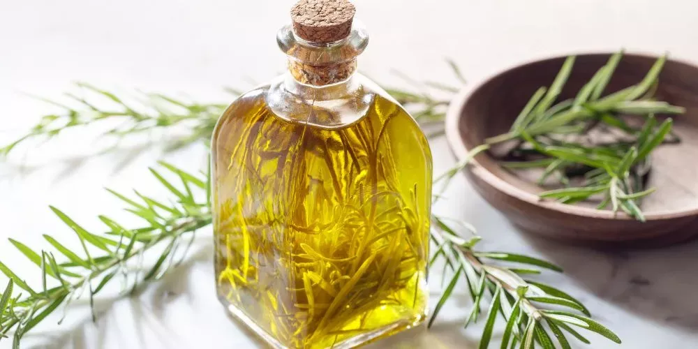 هل زيت إكليل الجبل يسبب الشيب في الشعر؟