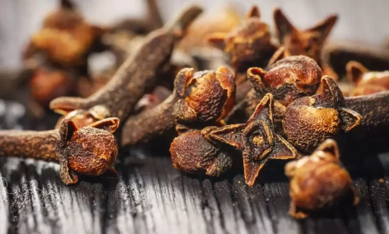 وصفة علاج جرثومة المعدة.. ما هي العشبة التي تقضي على جرثومة المعدة؟