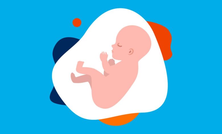 هل الحامل تشعر بالحر أكثر من غيرها؟