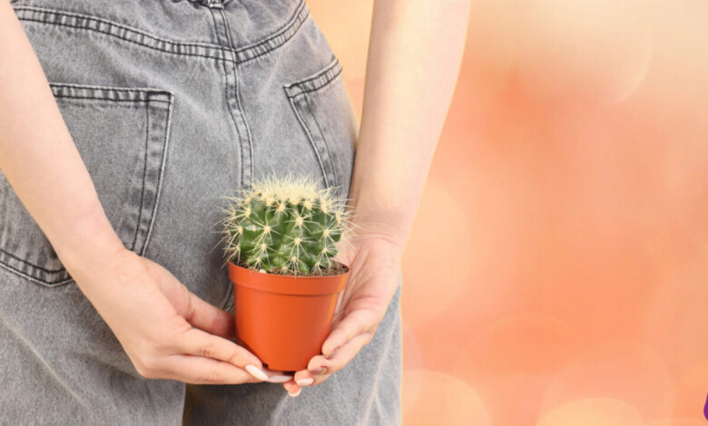 كيف تتخلص من حبوب المؤخرة وما أسبابها؟ 1 كيف تتخلص من حبوب المؤخرة وما أسبابها؟