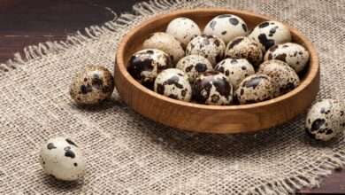 تجربتي مع بيض السمان للوقاية من الشيخوخة