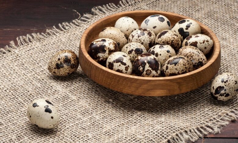 تجربتي مع بيض السمان للوقاية من الشيخوخة