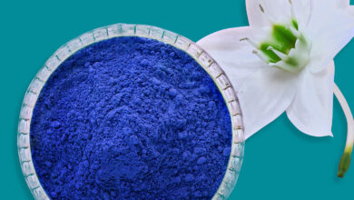 إشراقة مذهلة بلمسة مغربية: ماسك النيلة الزرقاء لبشرة نضرة