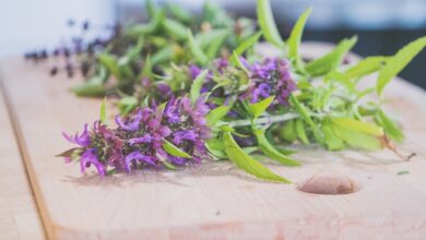 تجربتي مع عشبة الناردين في علاج القلق والتوتر