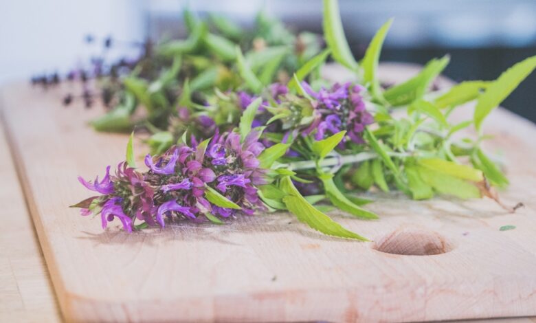 تجربتي مع عشبة الناردين في علاج القلق والتوتر