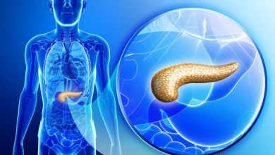 أخطاء يومية ترتكبها الأمهات وتؤثر سلبًا على بنكرياس الأطفال 5 أخطاء يومية ترتكبها الأمهات وتؤثر سلبًا على بنكرياس الأطفال