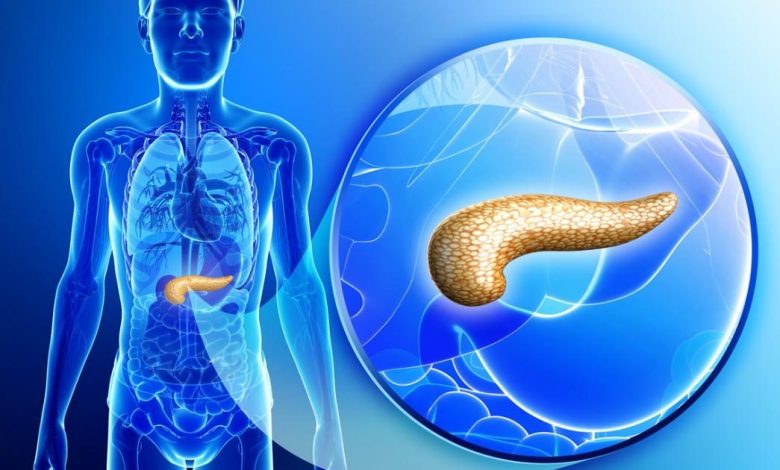 أخطاء يومية ترتكبها الأمهات وتؤثر سلبًا على بنكرياس الأطفال 3 أخطاء يومية ترتكبها الأمهات وتؤثر سلبًا على بنكرياس الأطفال