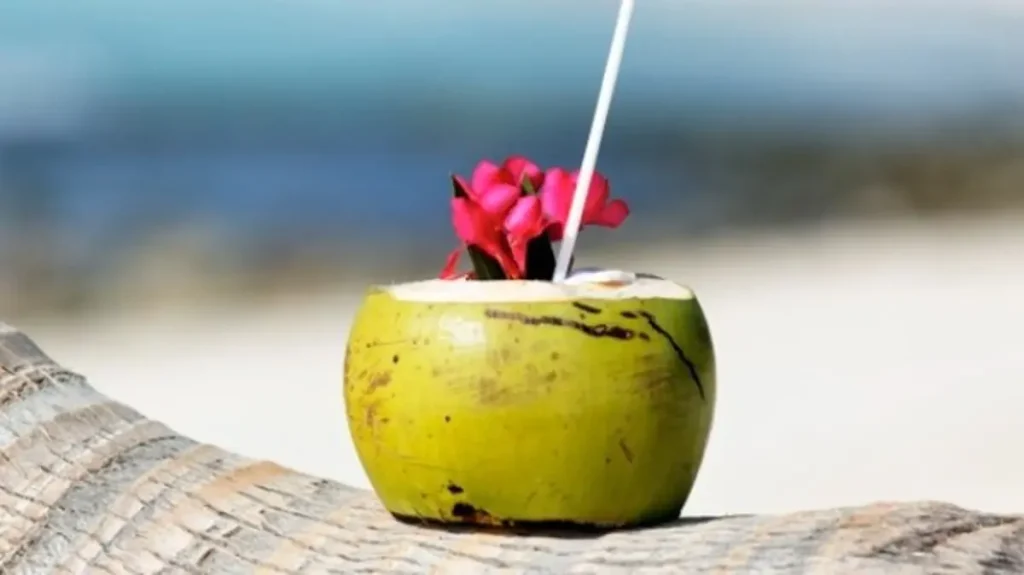 ماذا يحدث لجسمك عند شرب ماء جوز الهند يومياً؟