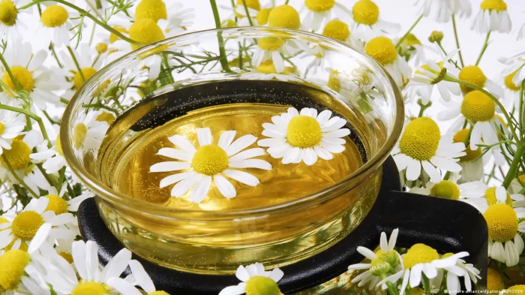 تجربتي مع استعمال البابونج لتخفيف التوتر والأرق