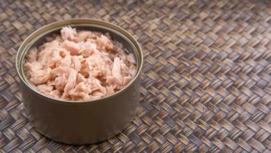 هل التونة المعلبة صحية؟ إليك الحقيقة الكاملة 10 هل التونة المعلبة صحية؟ إليك الحقيقة الكاملة