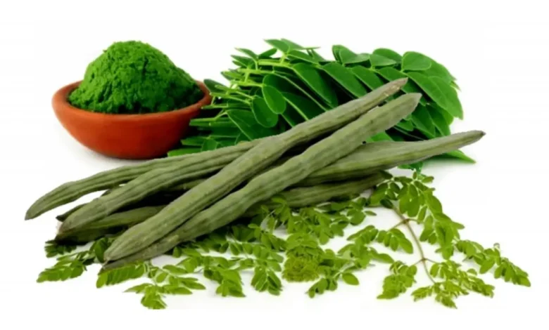 تجربتي مع عشبة المورينجا للتخسيس.. طريقة استعمال عشبة المورينجا؟