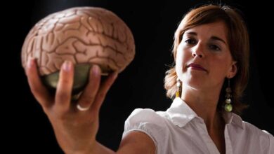 هل الدورة الشهرية تؤثر على دماغ النساء؟