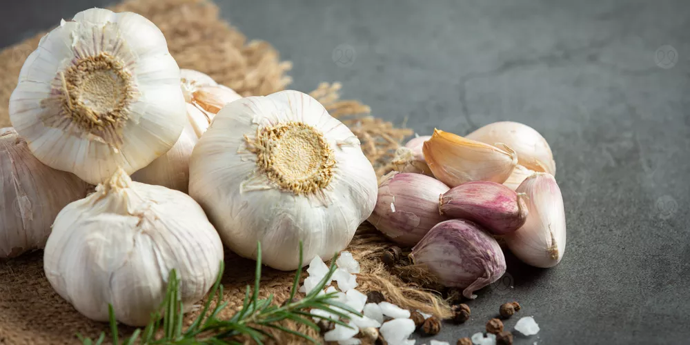 الثوم سلاحك الطبيعي ضد الأمراض ومفتاح صحة قلبك.. تعرفي على فوائد الثوم