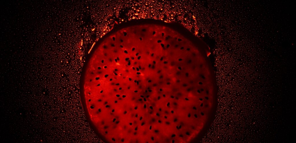 دليل النساء لرفع مخزون الحديد طبيعيًا.. نصائح طبية موثوقة