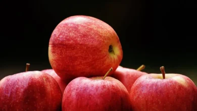 لماذا يعد التفاح خيارًا مثالياً في السحور؟ تعرفي على قيمته الغذائية