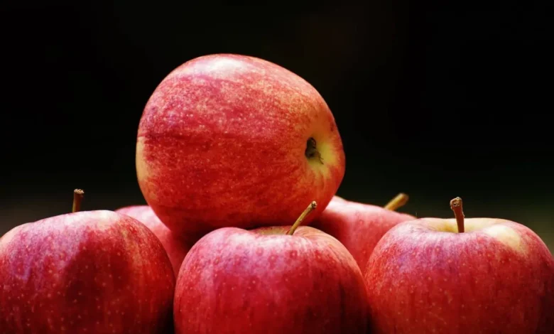 لماذا يعد التفاح خيارًا مثالياً في السحور؟ تعرفي على قيمته الغذائية 1 لماذا يعد التفاح خيارًا مثالياً في السحور؟ تعرفي على قيمته الغذائية